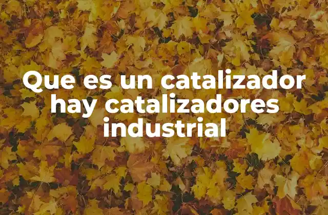 Que es un Catalizador Hay Catalizadores Industrial