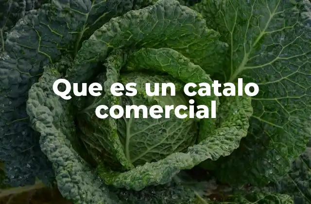 Que es un Catalo Comercial