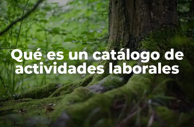 Qué es un Catálogo de Actividades Laborales 2 La importancia de tener un listado estructurado de tareas laborales