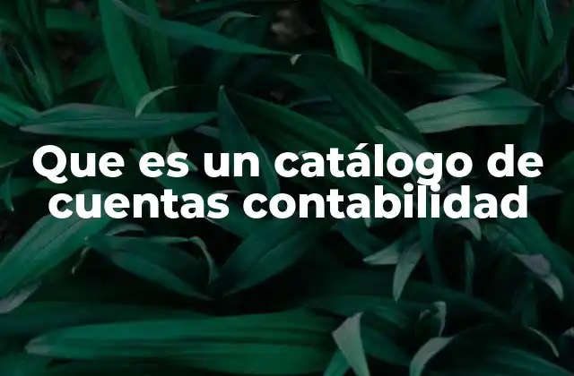 Que es un Catálogo de Cuentas Contabilidad