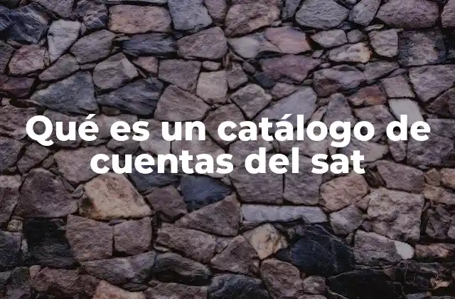 Qué es un Catálogo de Cuentas Del Sat