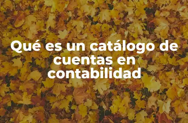 Qué es un Catálogo de Cuentas en Contabilidad