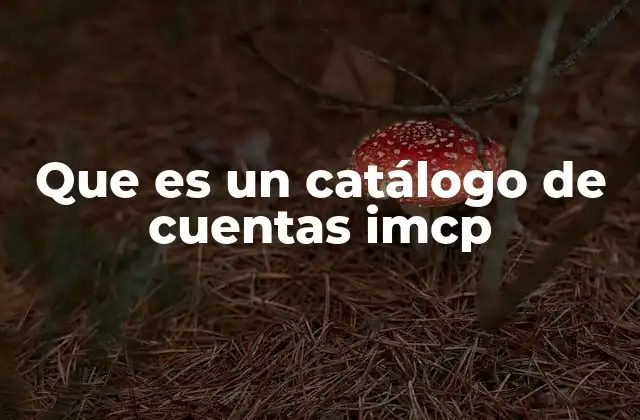 Que es un Catálogo de Cuentas Imcp