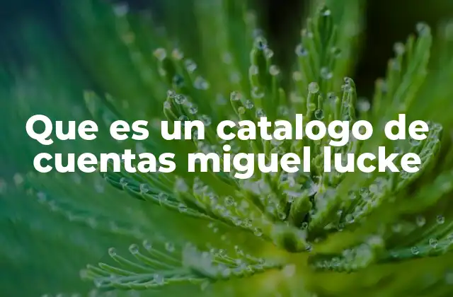 Que es un Catalogo de Cuentas Miguel Lucke