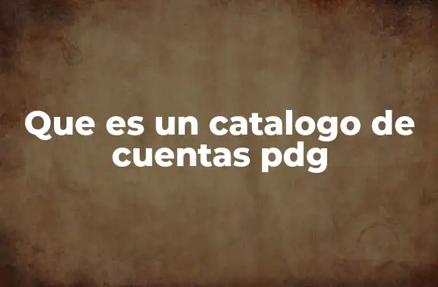 Que es un Catalogo de Cuentas Pdg