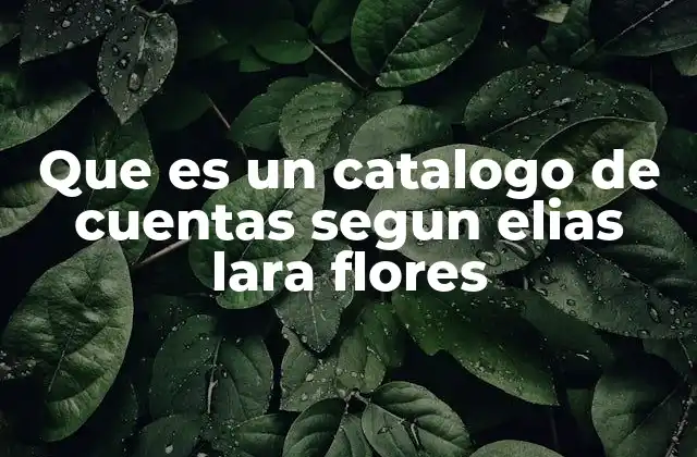 Que es un Catalogo de Cuentas Segun Elias Lara Flores