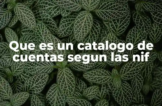 Que es un Catalogo de Cuentas Segun las Nif