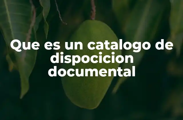 Que es un Catalogo de Dispocicion Documental 2 La importancia de organizar y gestionar los archivos institucionales