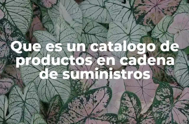 Que es un Catalogo de Productos en Cadena de Suministros