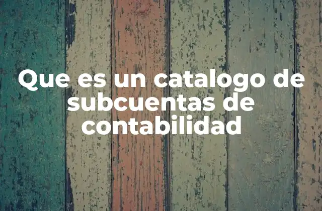 Que es un Catalogo de Subcuentas de Contabilidad