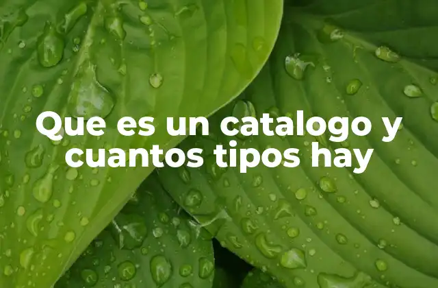 Que es un Catalogo y Cuantos Tipos Hay