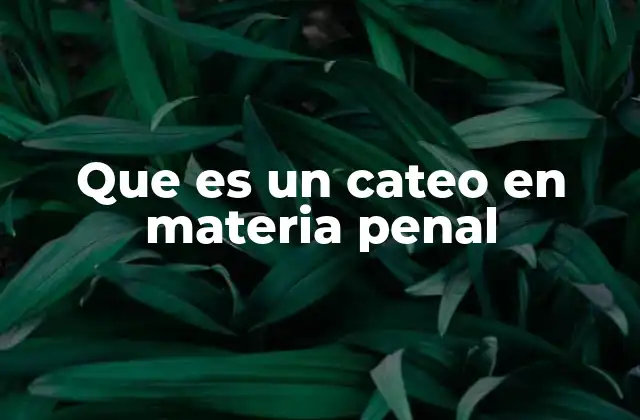 Que es un Cateo en Materia Penal