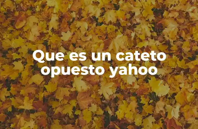 Que es un Cateto Opuesto Yahoo
