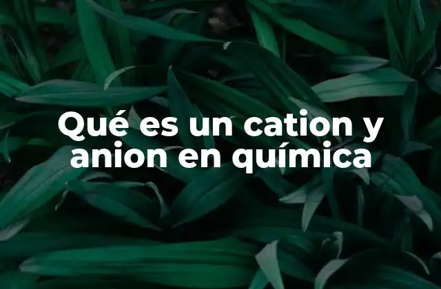 Qué es un Cation y Anion en Química