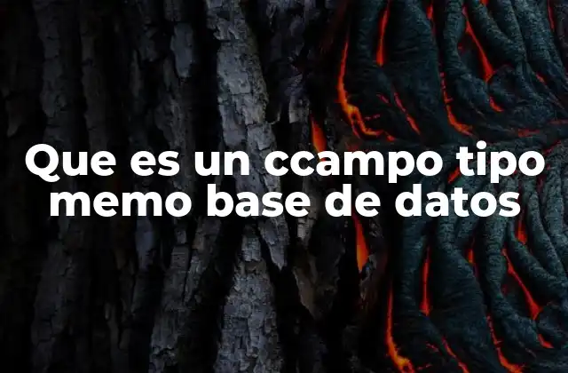 Que es un Ccampo Tipo Memo Base de Datos