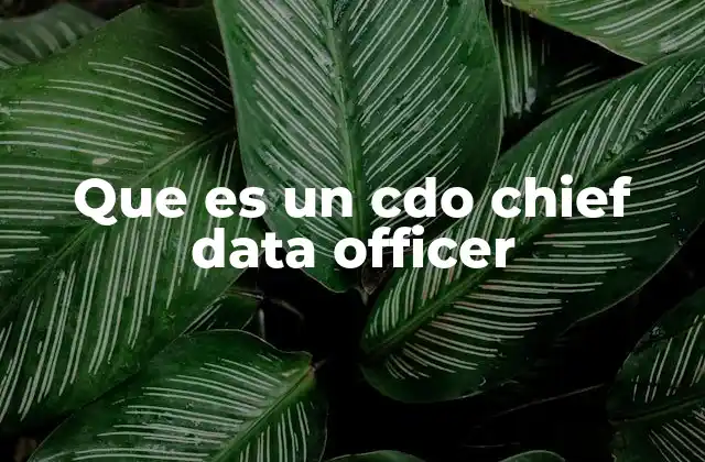 Que es un Cdo Chief Data Officer
