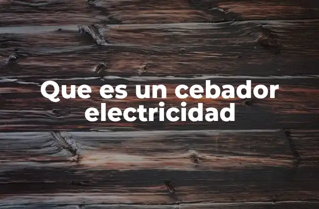 Que es un Cebador Electricidad