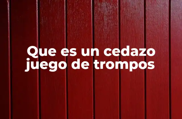 Que es un Cedazo Juego de Trompos