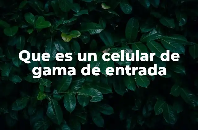 Que es un Celular de Gama de Entrada