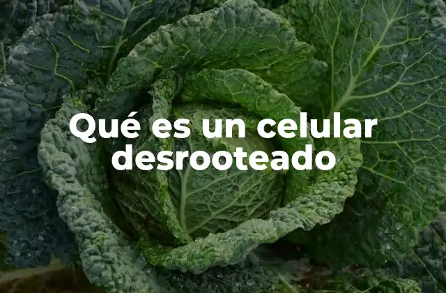 Qué es un Celular Desrooteado 2 La importancia de los permisos en los dispositivos móviles