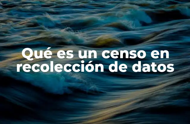 Qué es un Censo en Recolección de Datos 2 La importancia de contar con datos censales