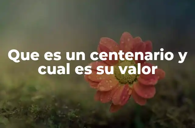 Que es un Centenario y Cual es Su Valor