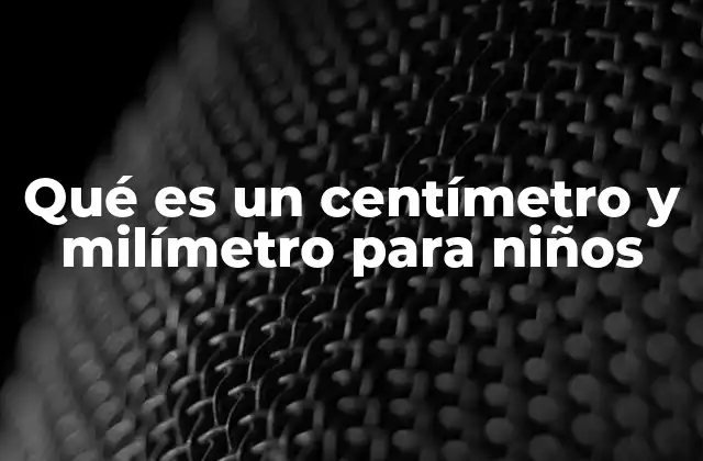 Qué es un Centímetro y Milímetro para Niños