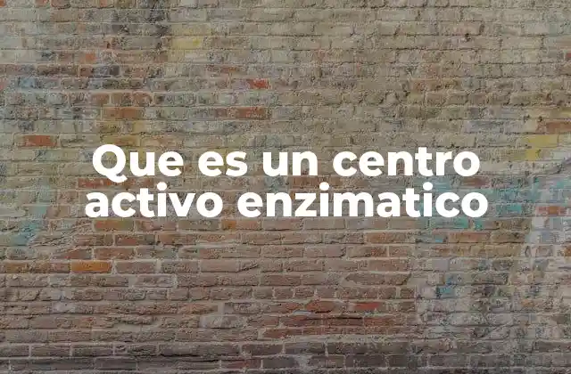 Que es un Centro Activo Enzimatico