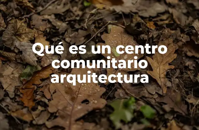 Qué es un Centro Comunitario Arquitectura