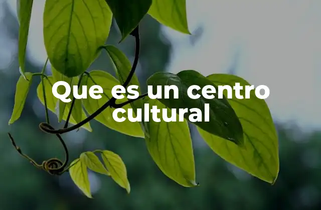 Que es un Centro Cultural