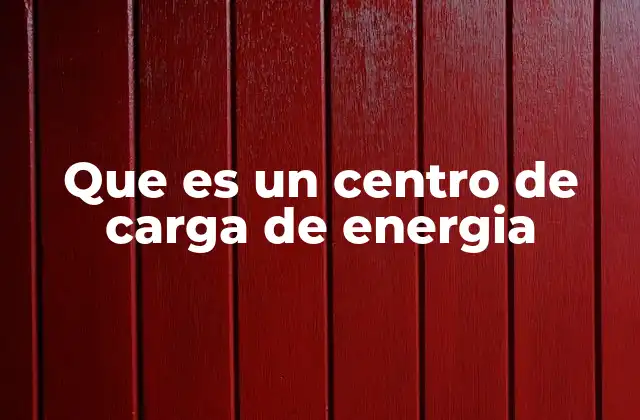 Que es un Centro de Carga de Energia