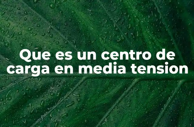 Que es un Centro de Carga en Media Tension