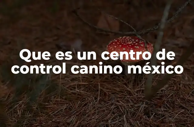 Que es un Centro de Control Canino México 2 El papel de los perros en la seguridad pública mexicana