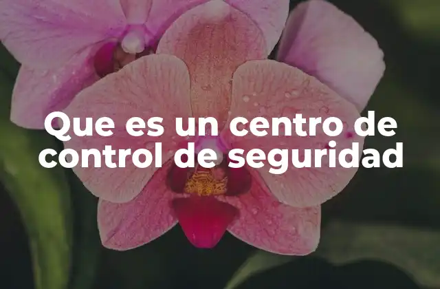 Que es un Centro de Control de Seguridad