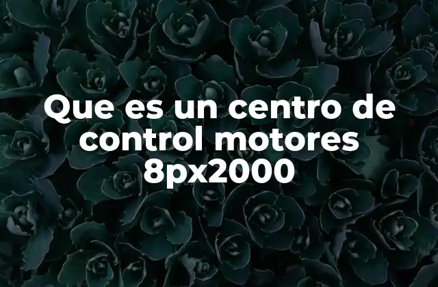 Que es un Centro de Control Motores 8px2000