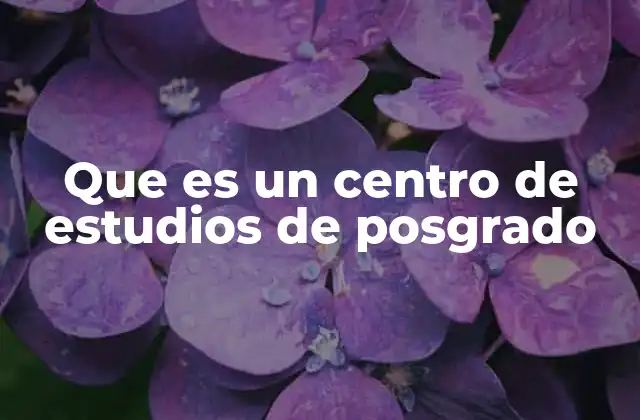 Que es un Centro de Estudios de Posgrado