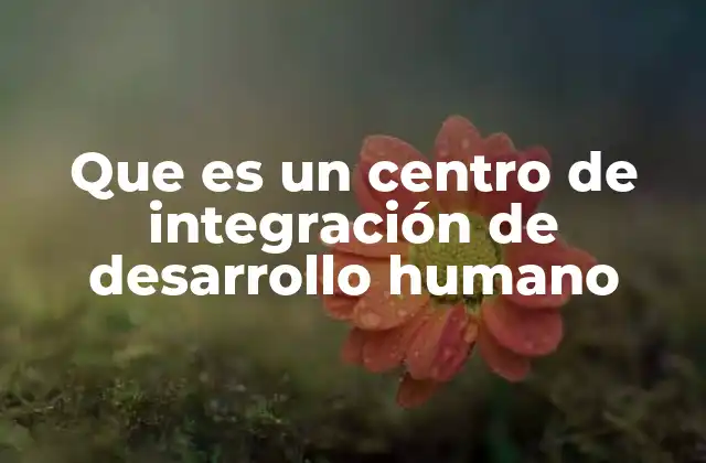 Que es un Centro de Integración de Desarrollo Humano