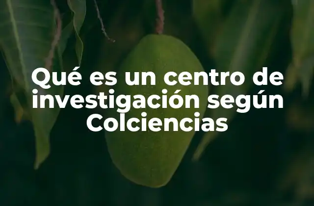 Qué es un Centro de Investigación según Colciencias