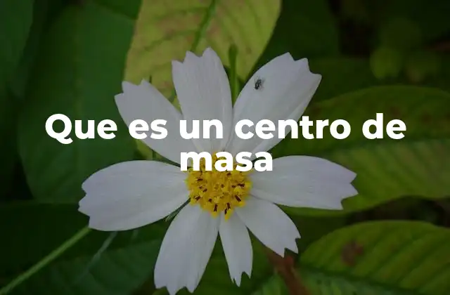 Que es un Centro de Masa