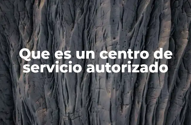 Que es un Centro de Servicio Autorizado