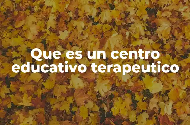 Que es un Centro Educativo Terapeutico