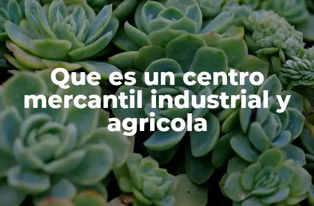 Que es un Centro Mercantil Industrial y Agricola