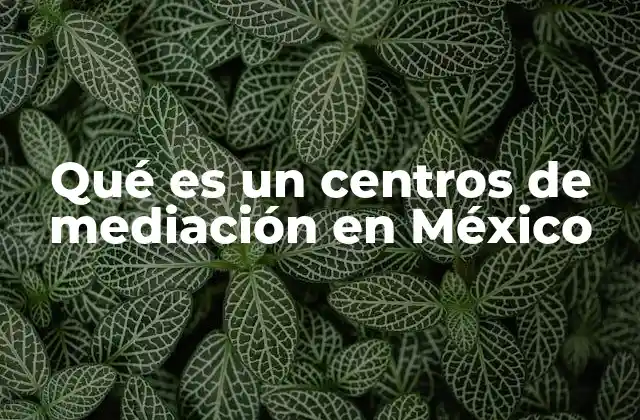El rol de la mediación en la justicia mexicana
