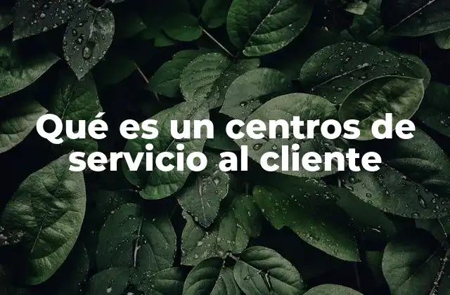 Qué es un Centros de Servicio Al Cliente