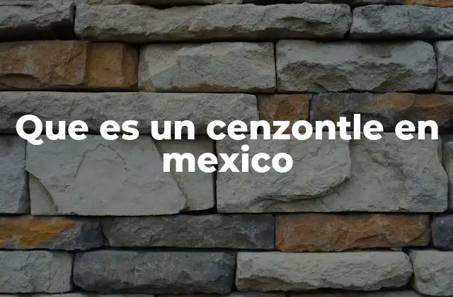 Que es un Cenzontle en Mexico 2 El cenzontle como reflejo de la identidad cultural mexicana