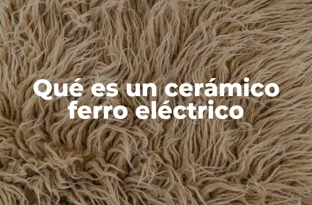 Qué es un Cerámico Ferro Eléctrico