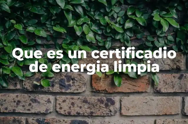 La importancia de los certificados de origen renovable en el mercado energético