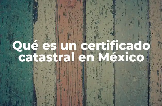 La importancia del certificado catastral en el contexto inmobiliario