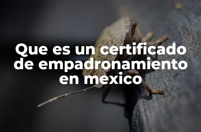 Que es un Certificado de Empadronamiento en Mexico