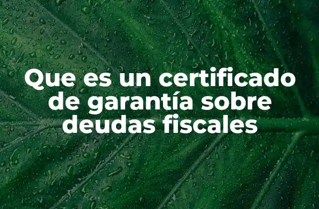 Que es un Certificado de Garantía sobre Deudas Fiscales